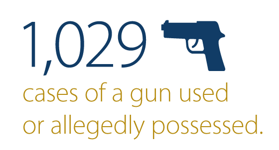 1,029 cases of a gun used or allegedly possessed